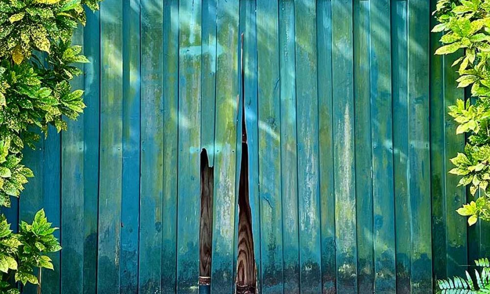 Green painted older privacy fence with cracked and missing boards in need of repair