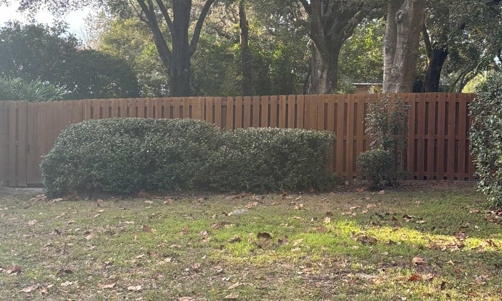 freshly washed 6ft shadow box residential privacy fence behind a row of bushes
